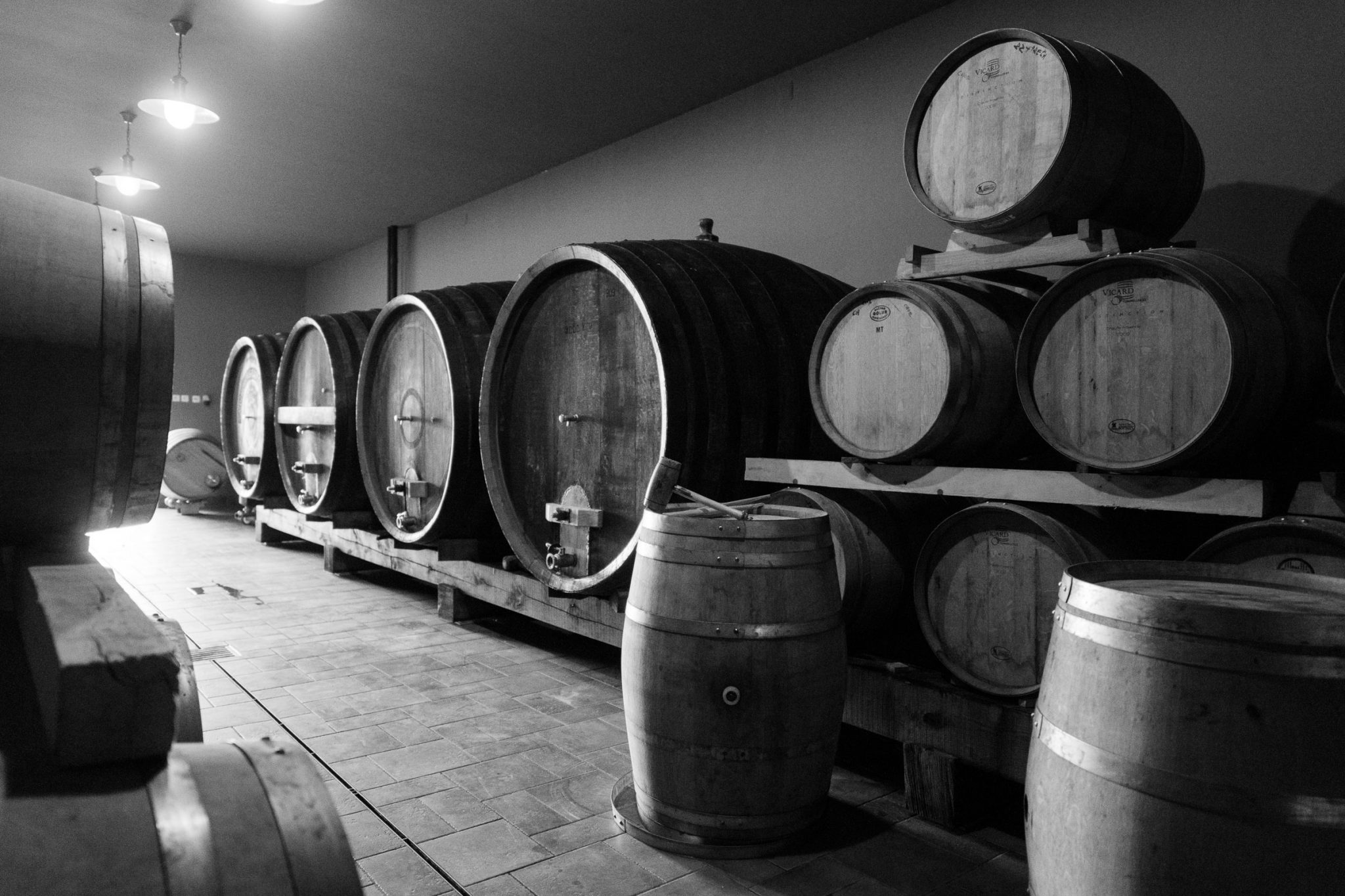 KORAK Winery Among the best boutique wineries in Croatia